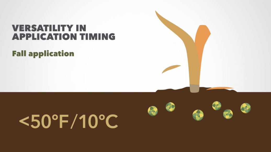 Versatility in application timing - fall application.